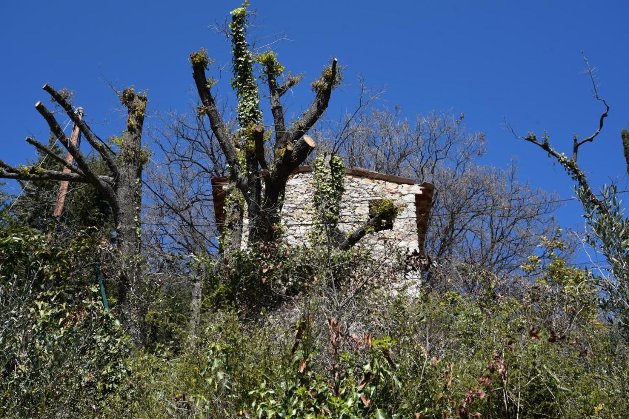 Chambre D'Hotes Cottes Callian  Exterior photo